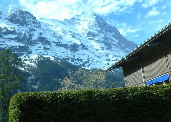 Apartmán Am Reeti By Interhome Grindelwald