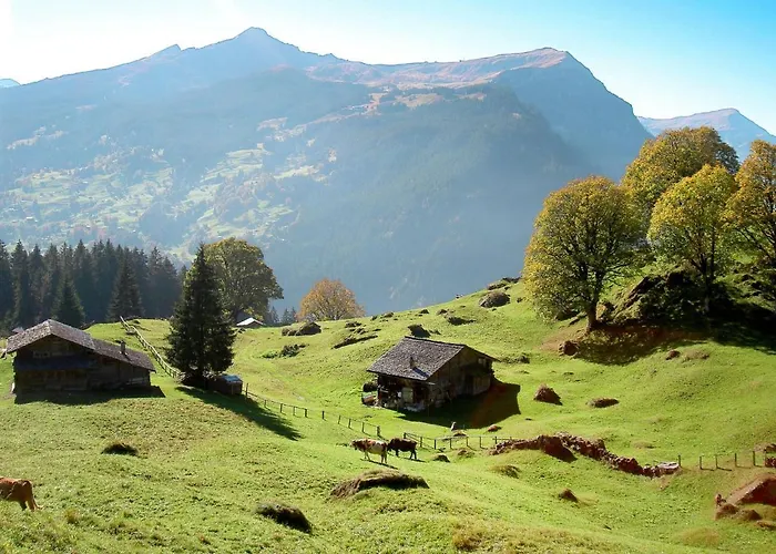 Apartament Am Reeti By Interhome