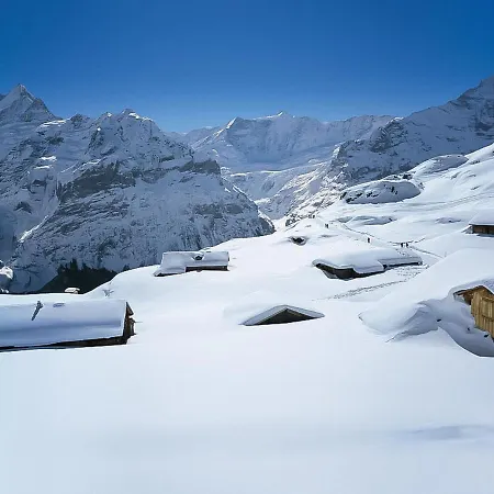 Am Reeti By Interhome Appartement Grindelwald